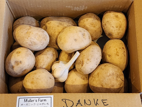 【有機JAS認証取得】2026/02 掘りたて！ニシユタカ　2.5kgドイツ人フランクさんこだわりのオーガニックジャガイモ 🥔🌱✨　Organic potatoes