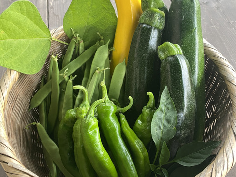 旬の野菜セット　有機無農薬　約8品目