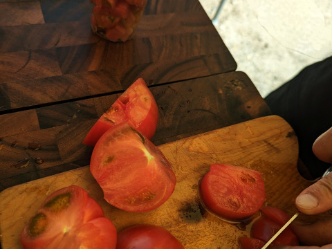 【高糖度】甘くて贅沢なフルーツトマト！約1キロ