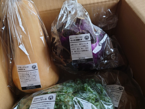 【月・金曜発送便】ココロ躍る🌈おまかせ野菜セット【さいたま市産】