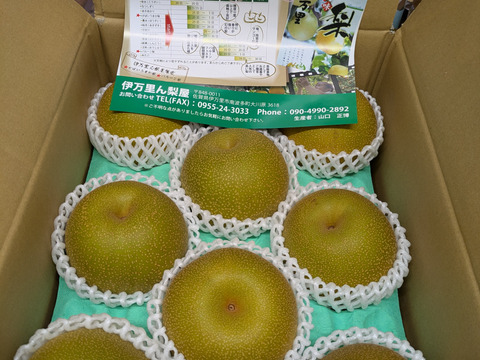 甘～い幸水梨、3キロダンボール箱🍐6～10玉入り 発送中：佐賀県産の幸