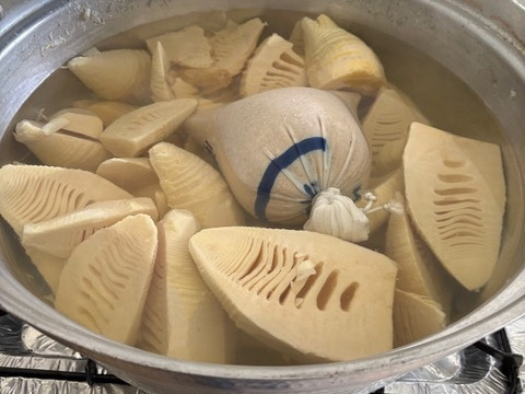 【朝採り】生たけのこSサイズ【3~4kg】