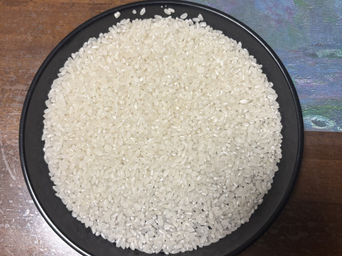 特別栽培  お米「いのちの壱」 令和7年産 10kg