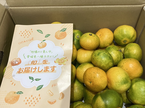 【家庭用】極早生みかん5.5kg(小玉サイズ) 採れたて新鮮！甘酸っぱい青みかん♡