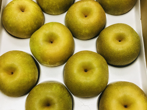 【贈答用幸水梨5kg】甘い‼️まるで梨ジュース💦(中玉14~16個入)✨️ひとつひとつ色付きを確認して樹上完熟で収穫します😋鮮度を保つため早朝に収穫しクール便でお届け🚚【夏ギフト】