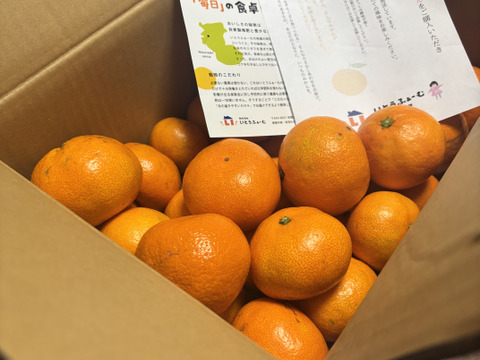 本日最終！【訳あり】濃厚なコクと酸味がおいしい！有田みかん★自家製堆肥栽培★定番5kg★和歌山★