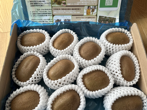 【令和6年・群馬県知事賞/金賞受賞】下仁田町産キウイフルーツ（3Lサイズ/11個入）