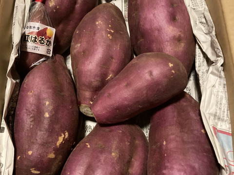 【訳あり】どすこいサイズ「ゆきこまち」  5キロ箱