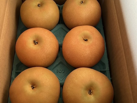 厳選！抜群の甘さとジューシーな【あきづき梨】小箱（５～６玉入り）