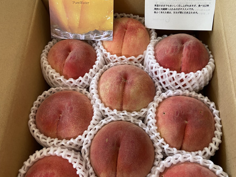 川中島白桃（8月下旬お届け）【わけあり家庭用 3kg】ジュワッと果汁溢れる！白桃