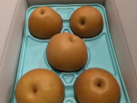 にっこり【贈答品】(3kg  )迫力の大きさで溢れる果汁！