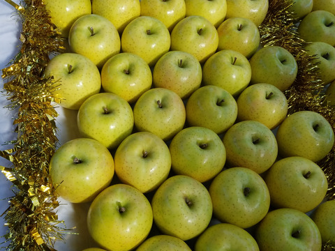 これが本場の王林です!!!!!!!!
⭐黄色いりんごの王様⭐
完熟　王林　　傷あり５kg１６ー２０個