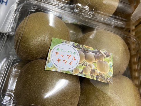 国産の季節です。食べ比べ農家直送キウイフルーツゴールデン4種
【2kg】