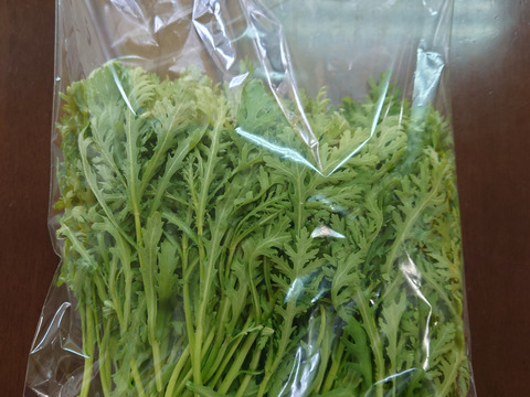 サラダ春菊／250ｇ×4袋（1kg）〈生で食べるサラダ野菜：大容量パック〉