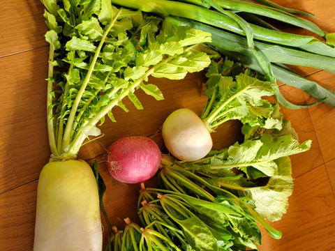 詰め込み！🥕旬の京野菜満足セット◎！【100サイズ】【7～8品目】