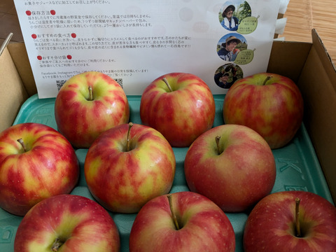 【10月発送】農薬50%削減🍎ジョナゴールド🍎3kg ジューシーで爽やかな酸味😆 キズなし良品🎁 化学肥料不使用 特別栽培りんご 予約 人気