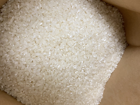 2024年米】新米🌾大粒の食べ応えと甘みが自慢°˖✧静岡県産精米