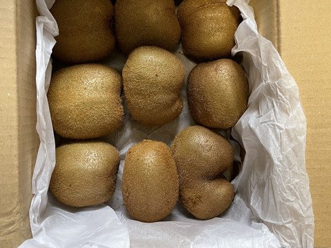 まじりっけなし！自然栽培「扁平キウイフルーツ」1kg