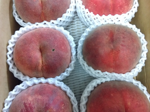 【数量限定】桃ファン必見！お得な桃訳あり品🍑4kg詰め合わせ！(2kg×2)