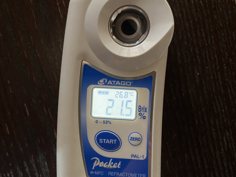 甘すぎて食べ過ぎる！ぶどうの定番岡山県産ピオーネ（3〜4房入）