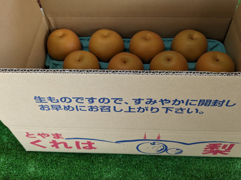 豊水呉羽梨贈答用5ｋｇ