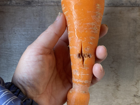 有機人参（訳ありC品）　3kg農薬・化学肥料不使用！小分け袋付！【有機JAS認証】