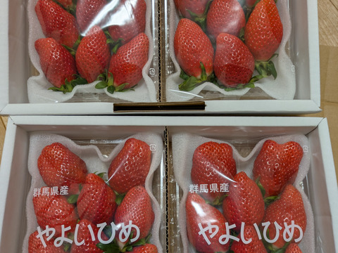 果汁たっぷり❗やよいひめ『群馬いちご』320g×4トレー（2箱）