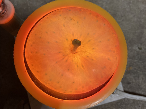 農薬散布3回のみ！超農薬削減栽培こうとく　蜜入チェック済！箱込約1.5キロ6-10個位！　奇跡のりんご