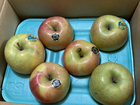 ミックス　🏆2025年りんごGP金賞受賞🎊葉取らず高徳&王林　家庭用2kg【5〜10個入り】