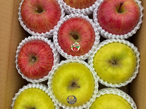 【贈答用】数量限定青森県産りんご 葉取らずふじ・ぐんま名月3kg