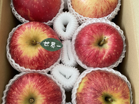 🍎希少品種🍎世界一約3キロ 6～7玉入り 青森りんごID168643
