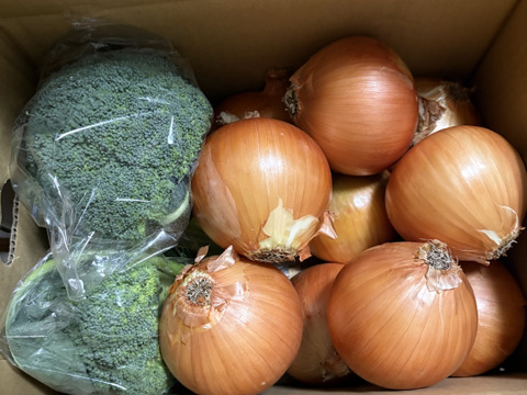 ブロッコリー2株×淡路島玉ねぎ10個セット【祝!3年連続金賞🏆】