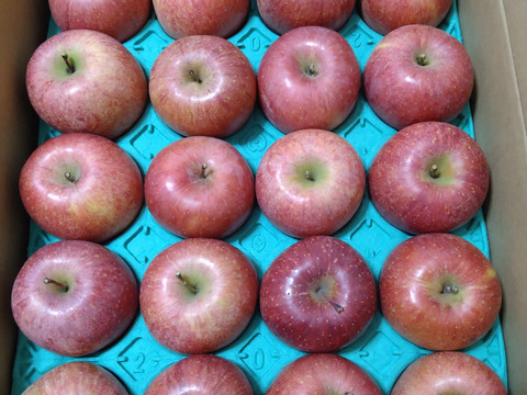 【個性溢れるりんごたち】『サンふじ』５キロ【１２〜２０玉入り】【家庭用】【訳あり】🍎山形りんご🍎