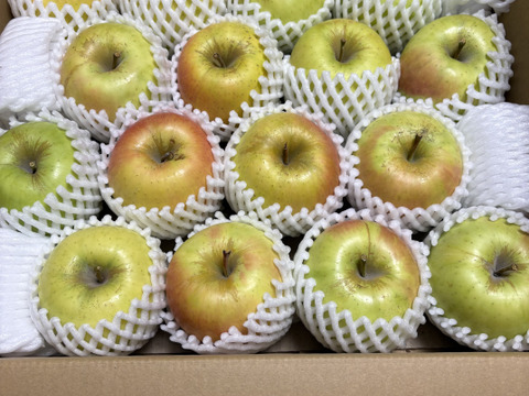 【販売開始！】青森県産りんご「ぐんま名月」家庭用 キズ有 約5kg 【光センサー選果・高リピート率】