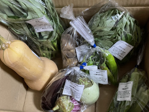採れたて！季節の野菜セットSサイズ(固定種野菜・農薬不使用)