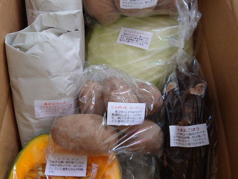 【北海道発】【キャベツも入ります】平飼い鶏の有精卵＆季節の有機野菜セット【冬ヴァージョン】
