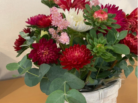 【日光園藝オリジナル】アスターと季節のお花アレンジメント