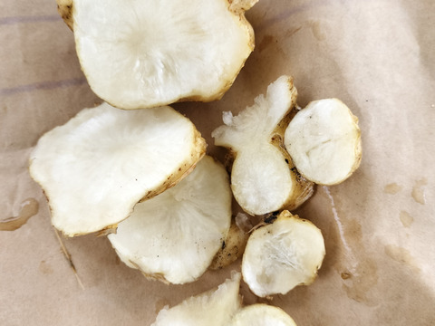 キクイモ５キロちよっと訳あり⭐