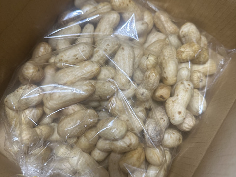 【旬物】ぷりぷり大粒！千葉県産おおまさり1kg 食べ応えバツグンのジャンボ落花生！