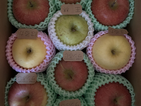 ☆農薬不使用りんご☆と特別栽培りんご(品種おまかせ)詰め合わせ3キロ（８〜１２玉）