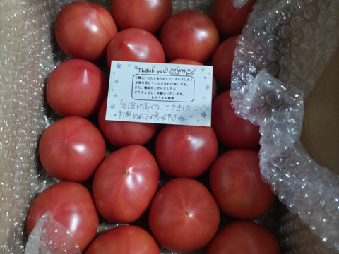 昔ながらのトマト🍅８０サイズ箱詰め(S玉)