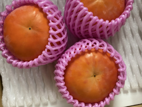 【柿の王】定番柿を極めた最高級の富有柿（3kg）熨斗対応可【冬ギフト】