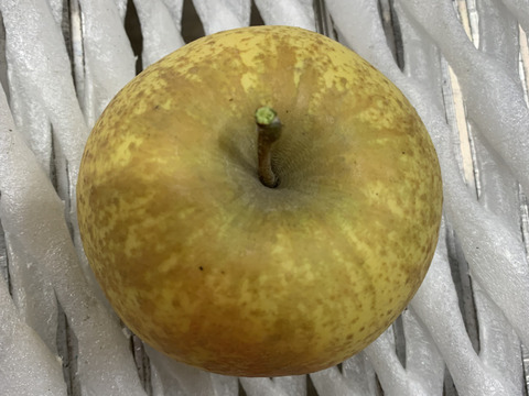 【福袋】数量限定‼️訳あり🍎🍏とジュースの詰め合わせ