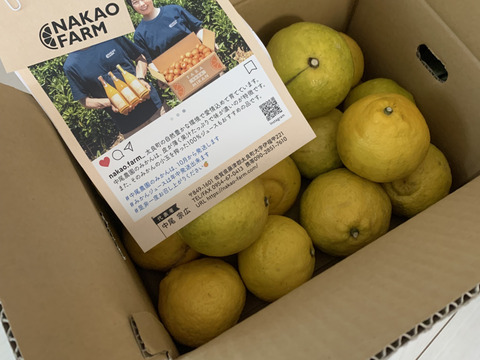 佐賀県太良町産はるか2.5kg【家庭用】