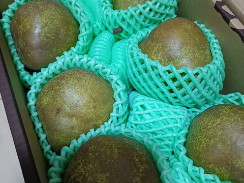 【早出し！100箱限定】 食べ頃ラフランス！ プロが食べ頃まで追熟！ 【 訳あり品 ラフランス！】 約2㎏ ご家庭用やおすそ分けに丁度いい！ R06-01-01