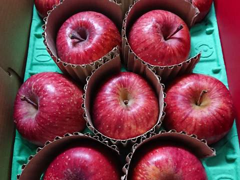 【蜜入保証】【サンふじ】（2kg・9～10個入り）パリパリ・ジューシーお得な家庭用