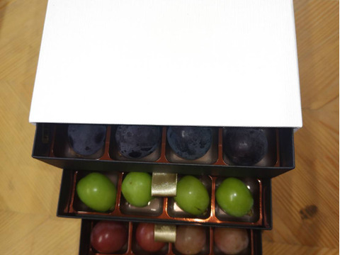 🍇セレブ御用達の宝石箱が日本初上陸🍇『2025年先行予約』幻の天空ブランドジュエリーボックス食べ比べセット🍇約900g【天空ブランド上位人気ランカー葡萄詰め合わせ】