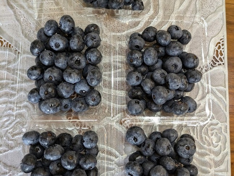 ＜自然栽培の生ブルーベリー　５００ｇ＞肥料不使用、農薬も不使用、きめ細かな食感で美味の≪ハイブッシュ系生ブルーベリー≫を八ヶ岳南麓よりお届します