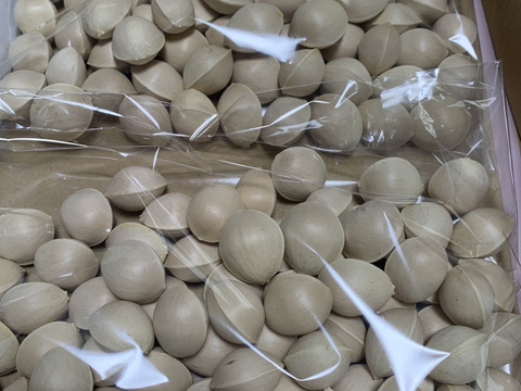 【売り切れごめん!!】3L、2Ｌ　【大粒銀杏】500g