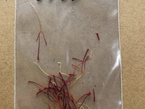 【福袋】新春初物セット 自生の日本の山柚子の陳皮50g ＆ 農家自慢の香り豊かな乾燥赤唐辛子50g ＆ 稀少な国産自然農法栽培のサフラン40本入ります。盛りだくさんの新春福袋セットです。
